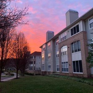 Meet your Posher, Angelina